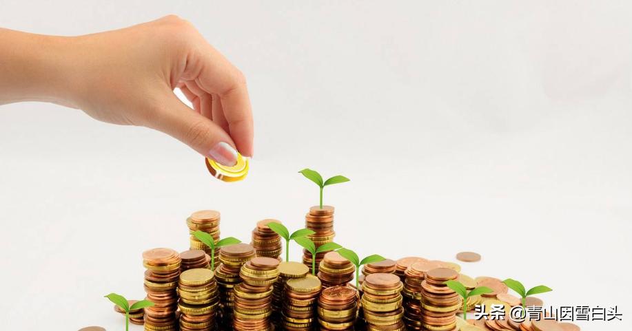 农村前方有空地怎样规划,农村有地该怎么利用和赚钱