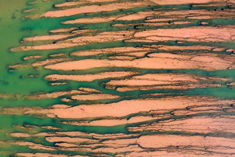 西安湿地风景区,西安东郊最美湿地公园