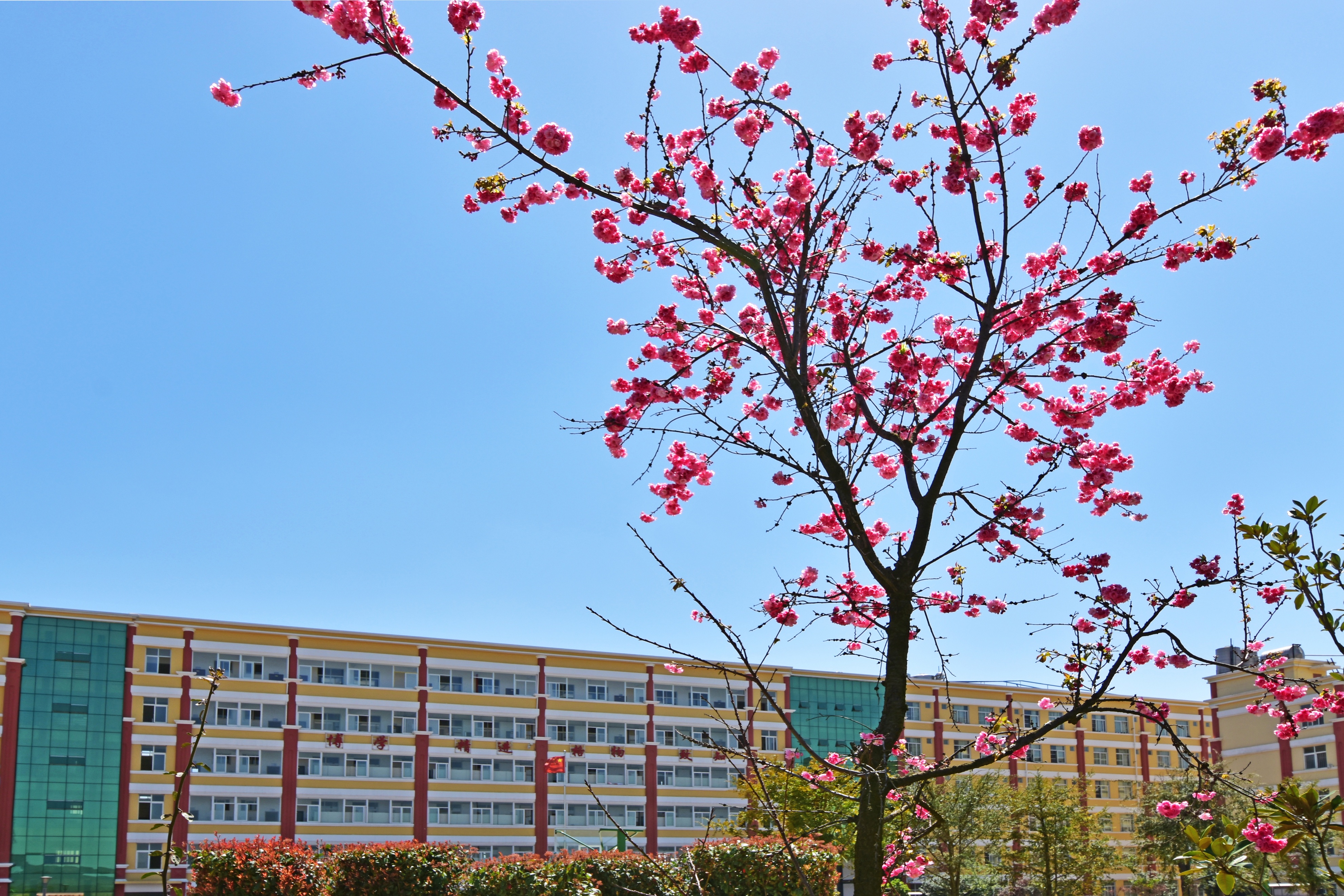 昆明三中空港实验学校,筑梦未来共成长