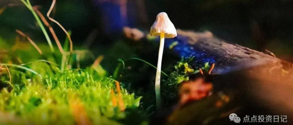 银行保险基金证券公司排名,保险公司证券公司银行哪个好