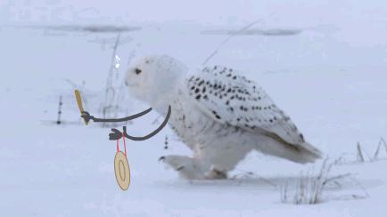 “性取向测试!”如果你看到的是一群人在游泳,那就再仔细看看