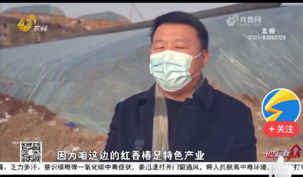 一个人如何种植致富树,农村现在种植树最赚钱