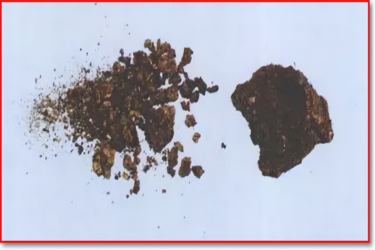 带你识别肉桂,带你识别丁香