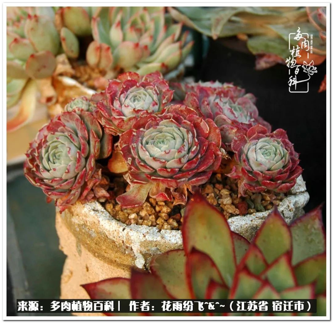 回味童年无忧无虑的快乐时光,童年最快乐的时光