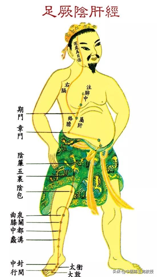 阴囊潮湿能力下降？送你一方清热燥湿，赶走潮热，还你健康本色