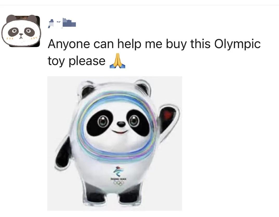 中国冰壶代表队,冰壶中国队赢得开门红