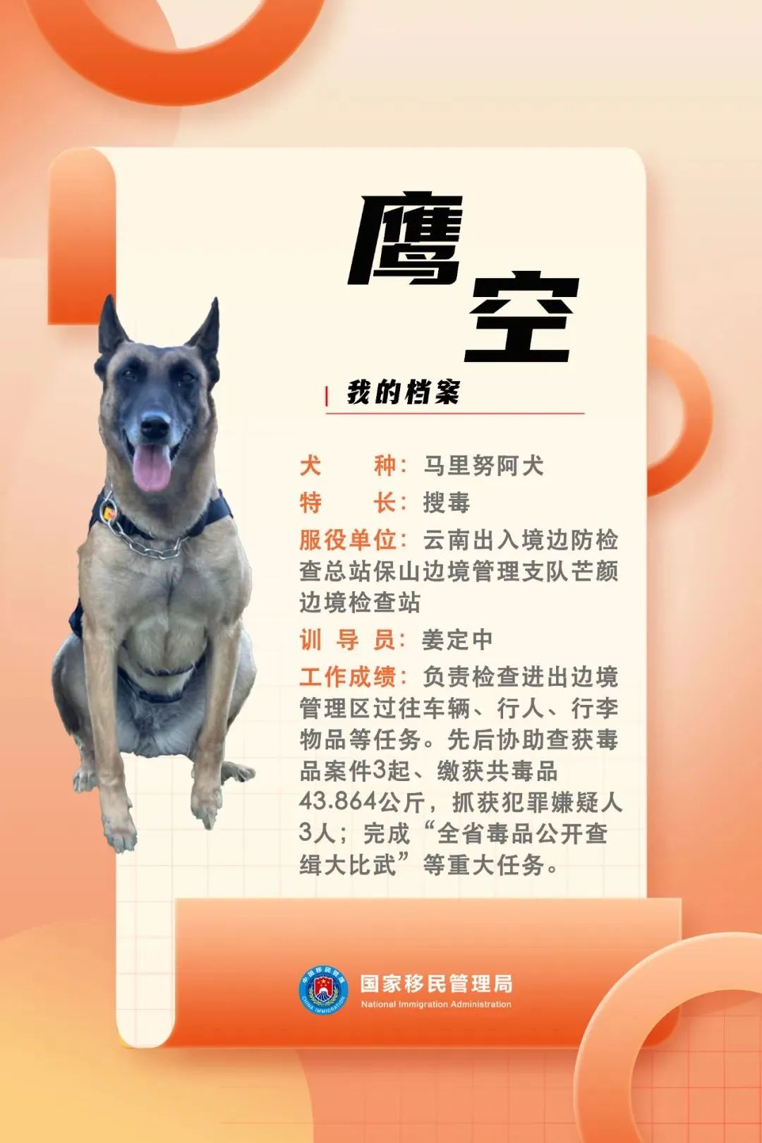 功勋犬天狼,功勋犬挑战不可能