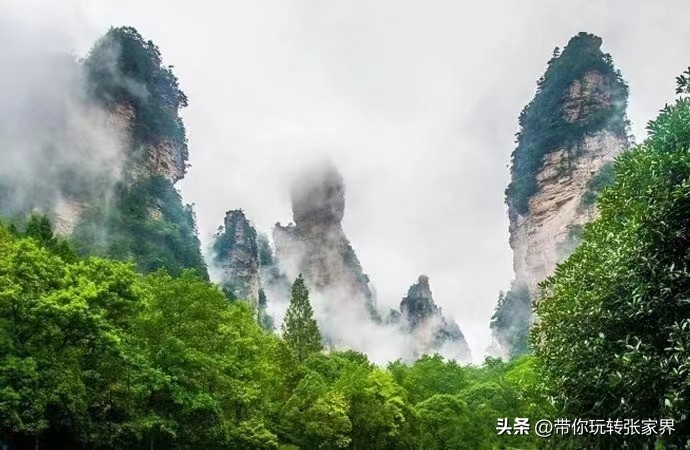 自驾张家界5天4晚旅游攻略,去张家界五日游攻略