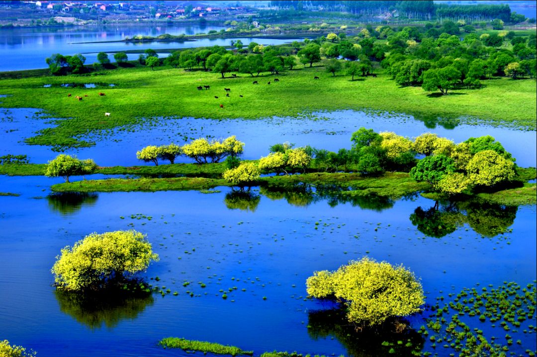 敦化雁鸣湖秋季游,敦化雁鸣湖湿地攻略
