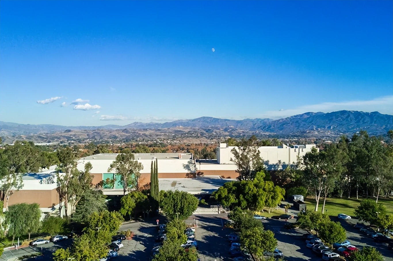 艺术院校太水？花200w去读到底是否值得？