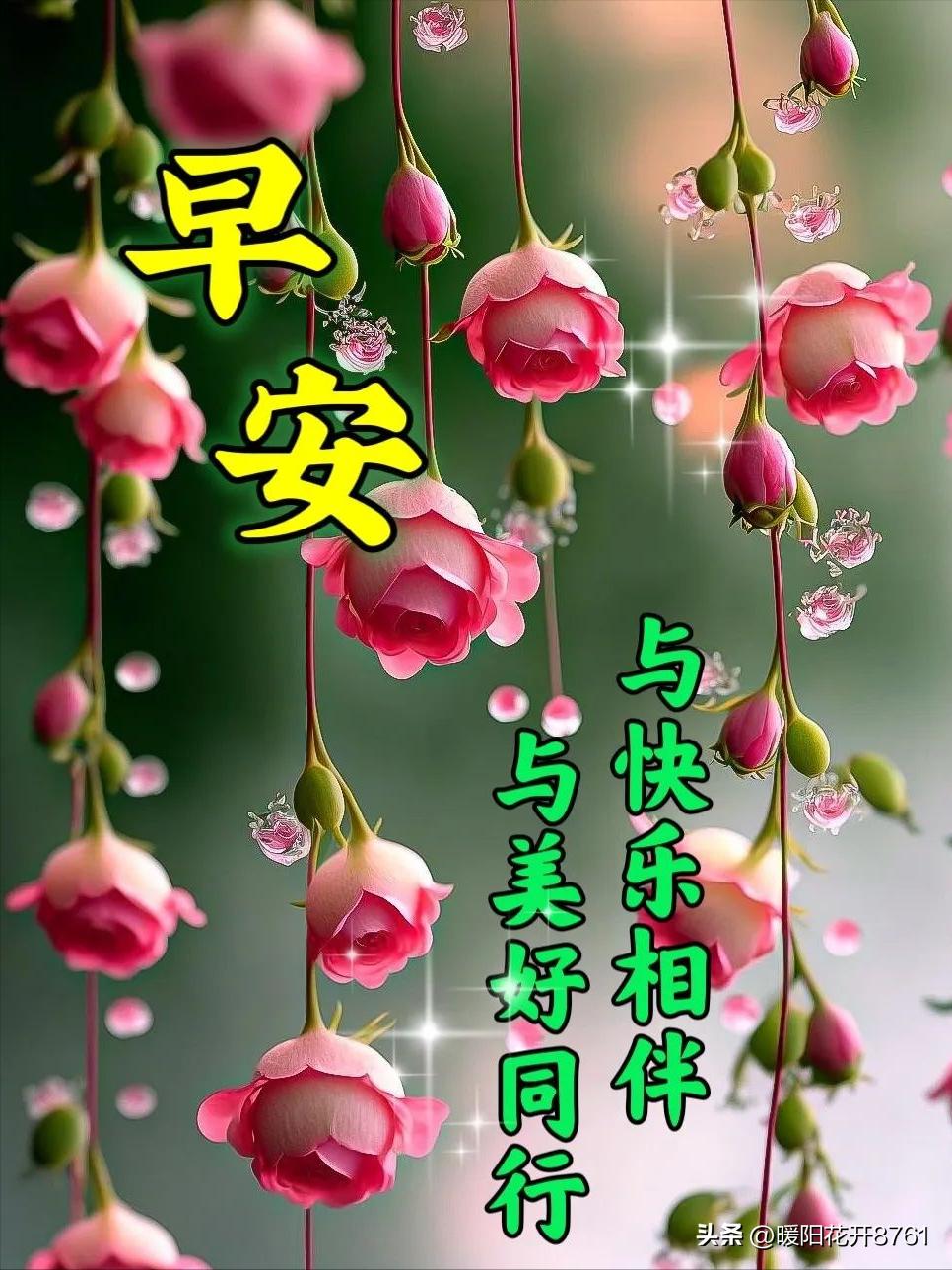 周末愉快早安问候语短句图片,最新早安周六愉快图