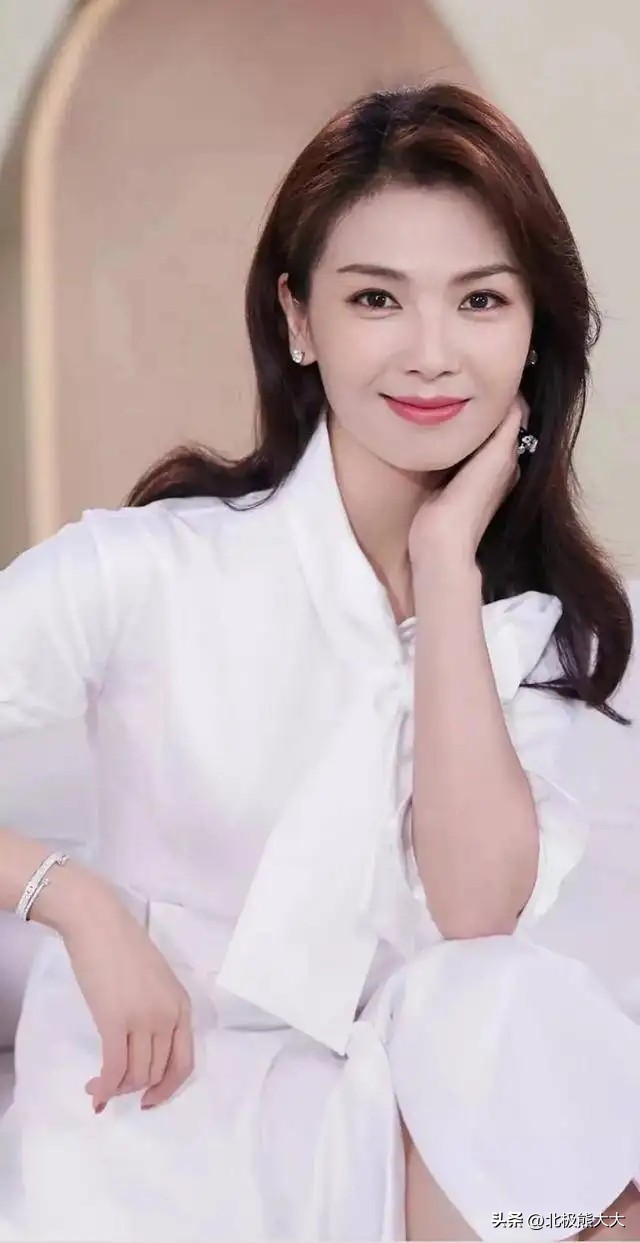 从贤妻到女强人刘涛都经历了什么,贤妻刘涛真实身份