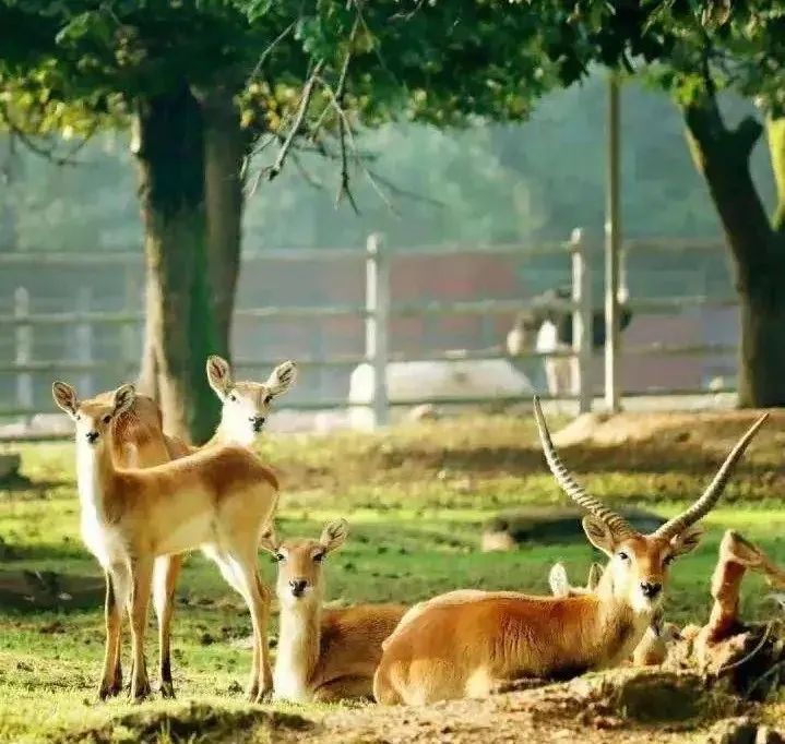 西安旅游攻略详细学生,学生西安旅游攻略最新