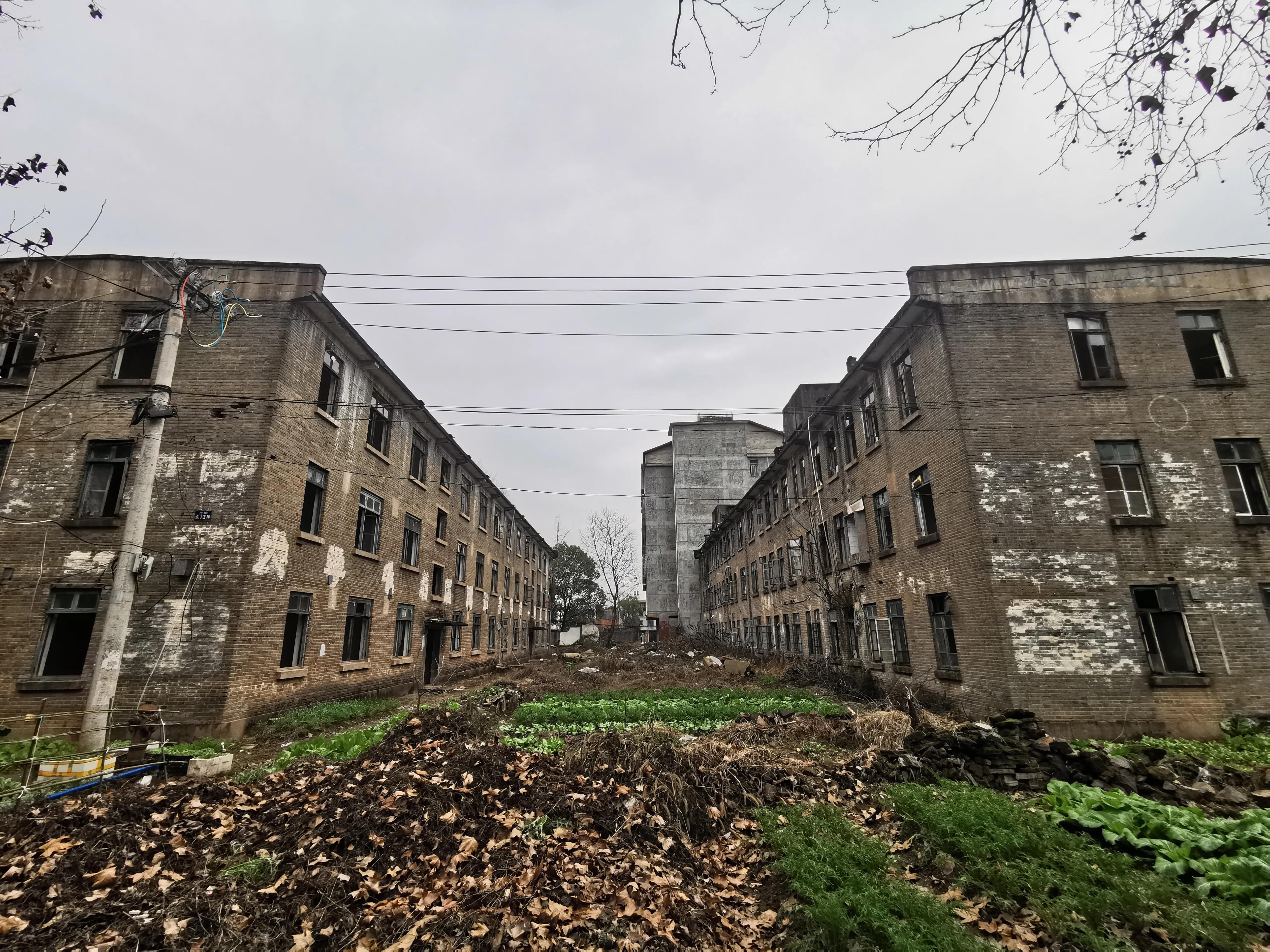 老爸的童年往事,老爸和老妈的故事