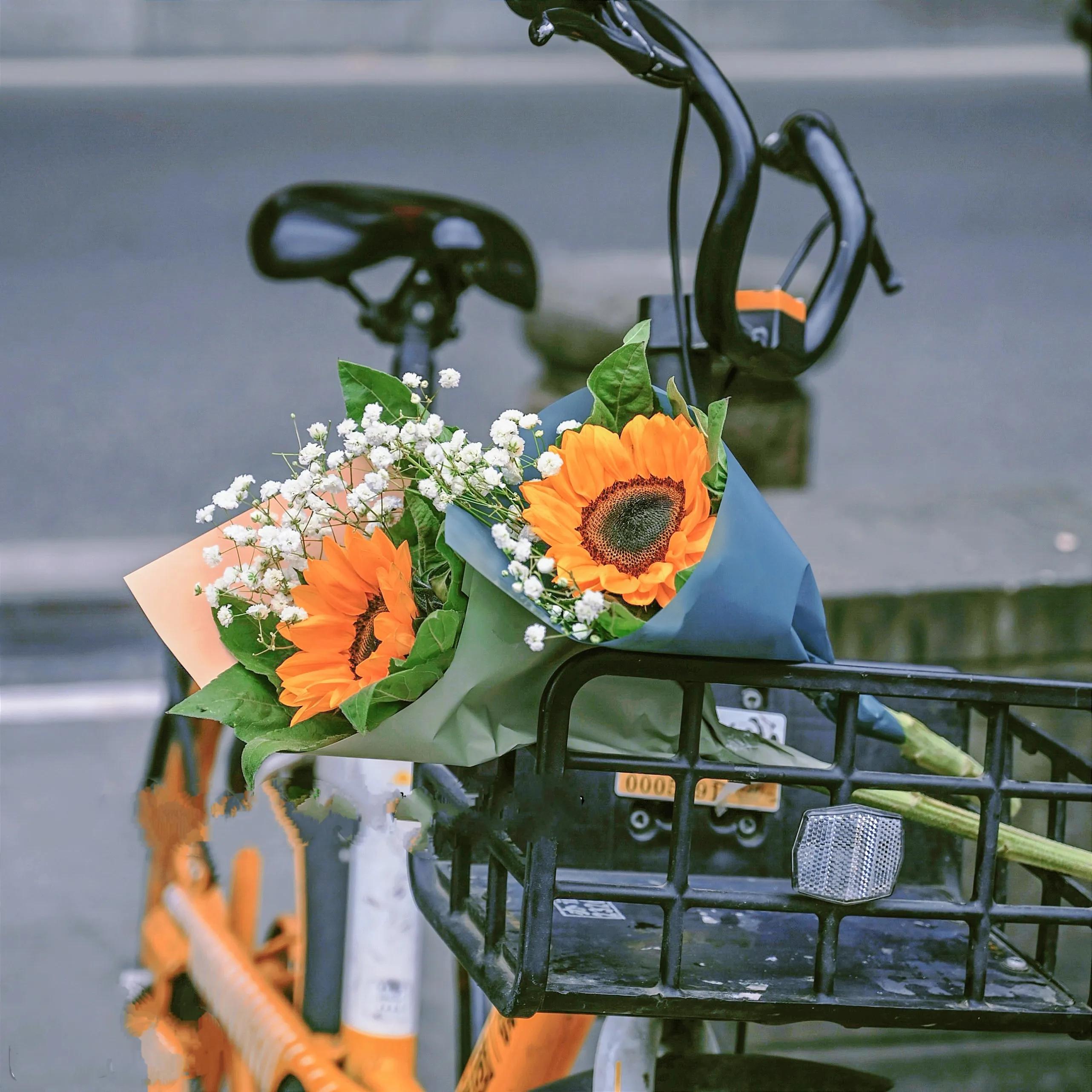 给所有缺钱想搞钱的女生8条建议,女生搞钱的几个建议