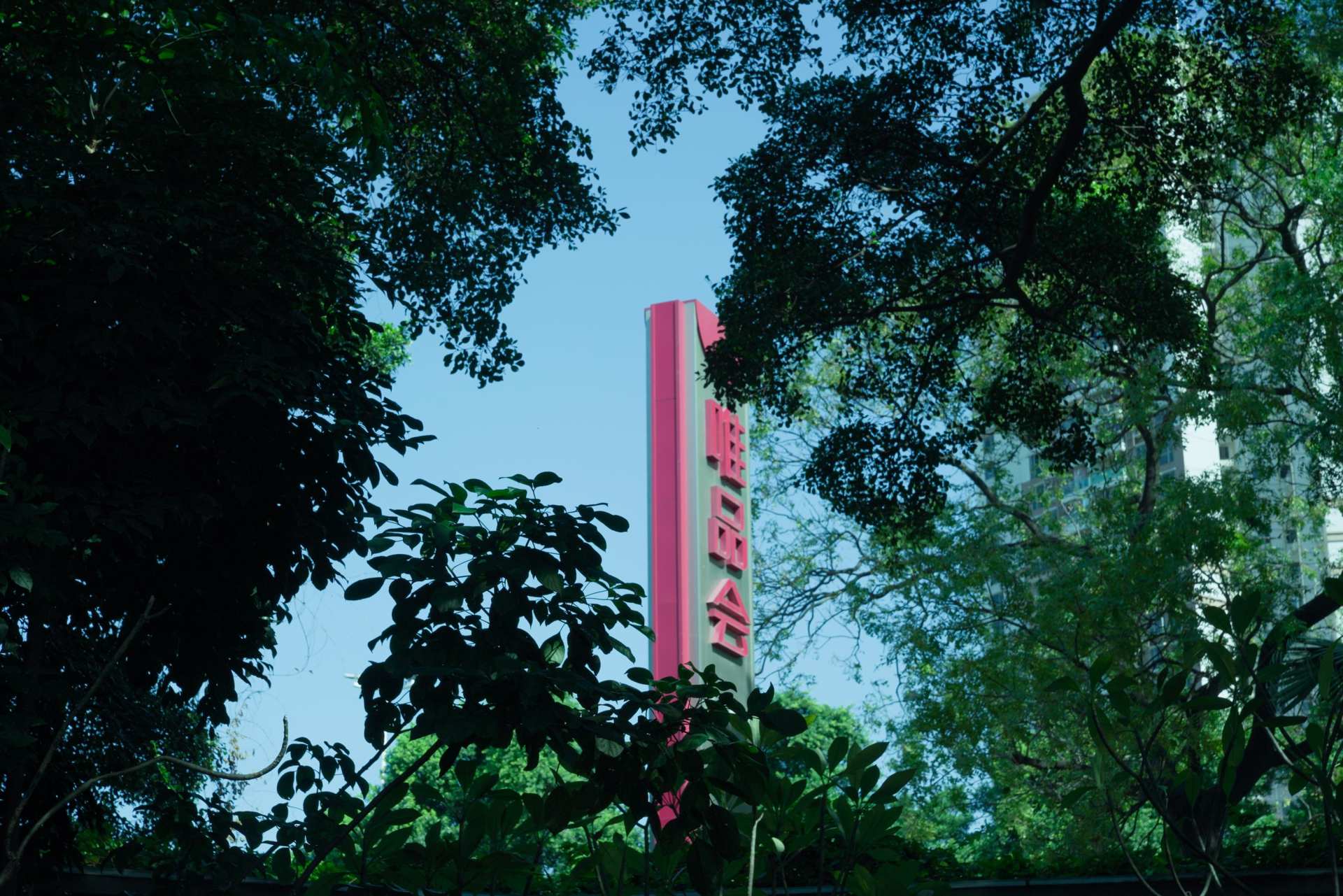 老树抽新芽，这件90后曾经的压箱底，如今在唯品会被再次疯抢