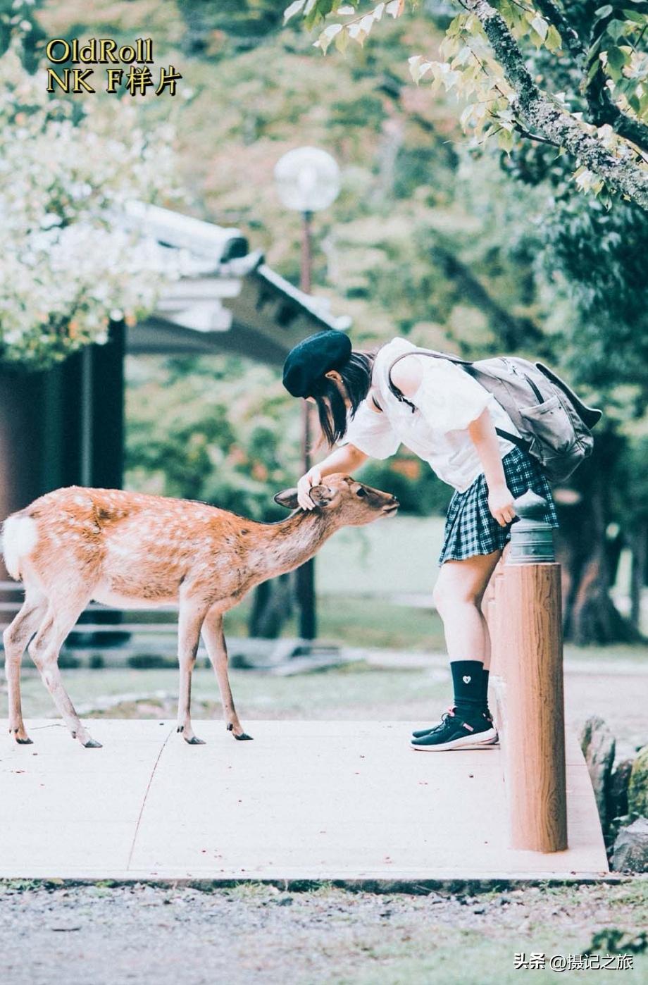 出片神器|4款超好用的仿胶片app推荐
