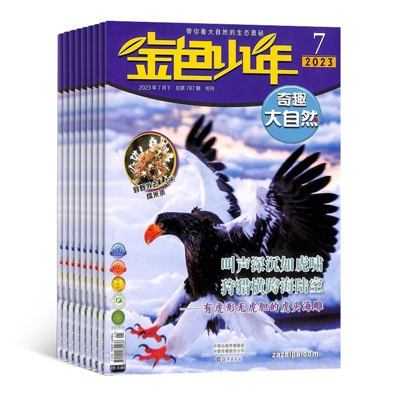 小学生暑假必读分级课外书目录,2024年寒假小学生必读书目