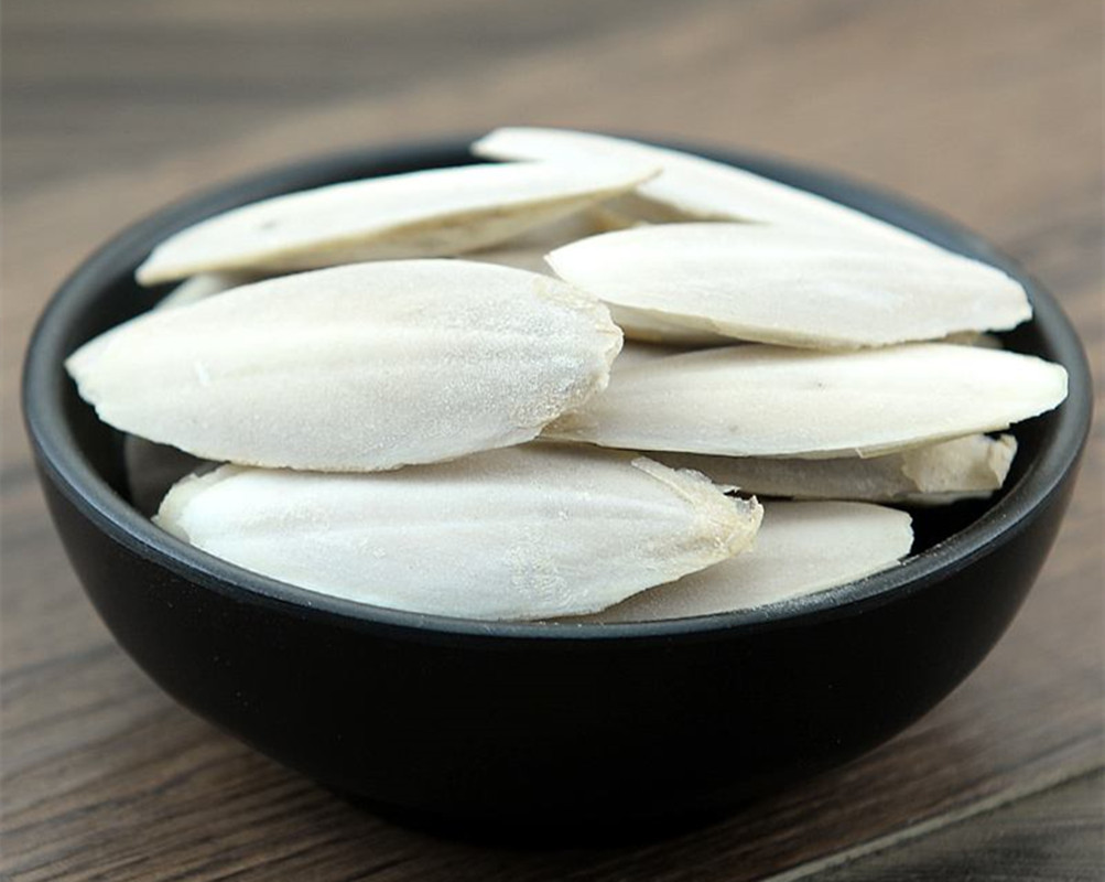 章鱼为什么没有成为食物链顶端,章鱼为什么比人类智商高