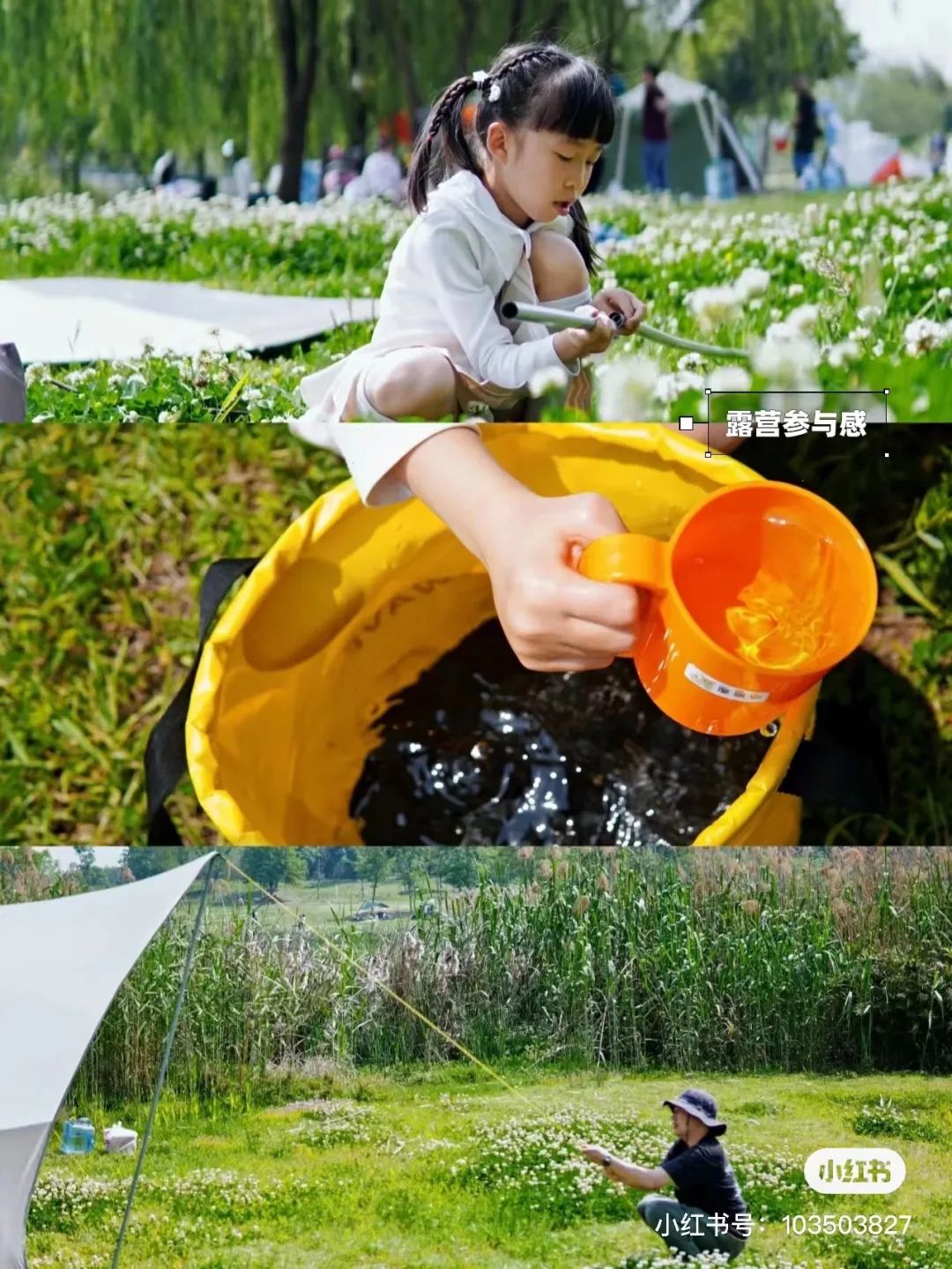 成都周边一日游露营烧烤好去处,成都周边春天适合野炊露营的地方