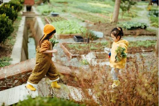 菜吧：采摘、垂钓、认养做不好？这样升级还能找条活路