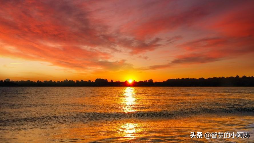 领导不待见你该怎么办成语,跟领导相处必须知道的6件事