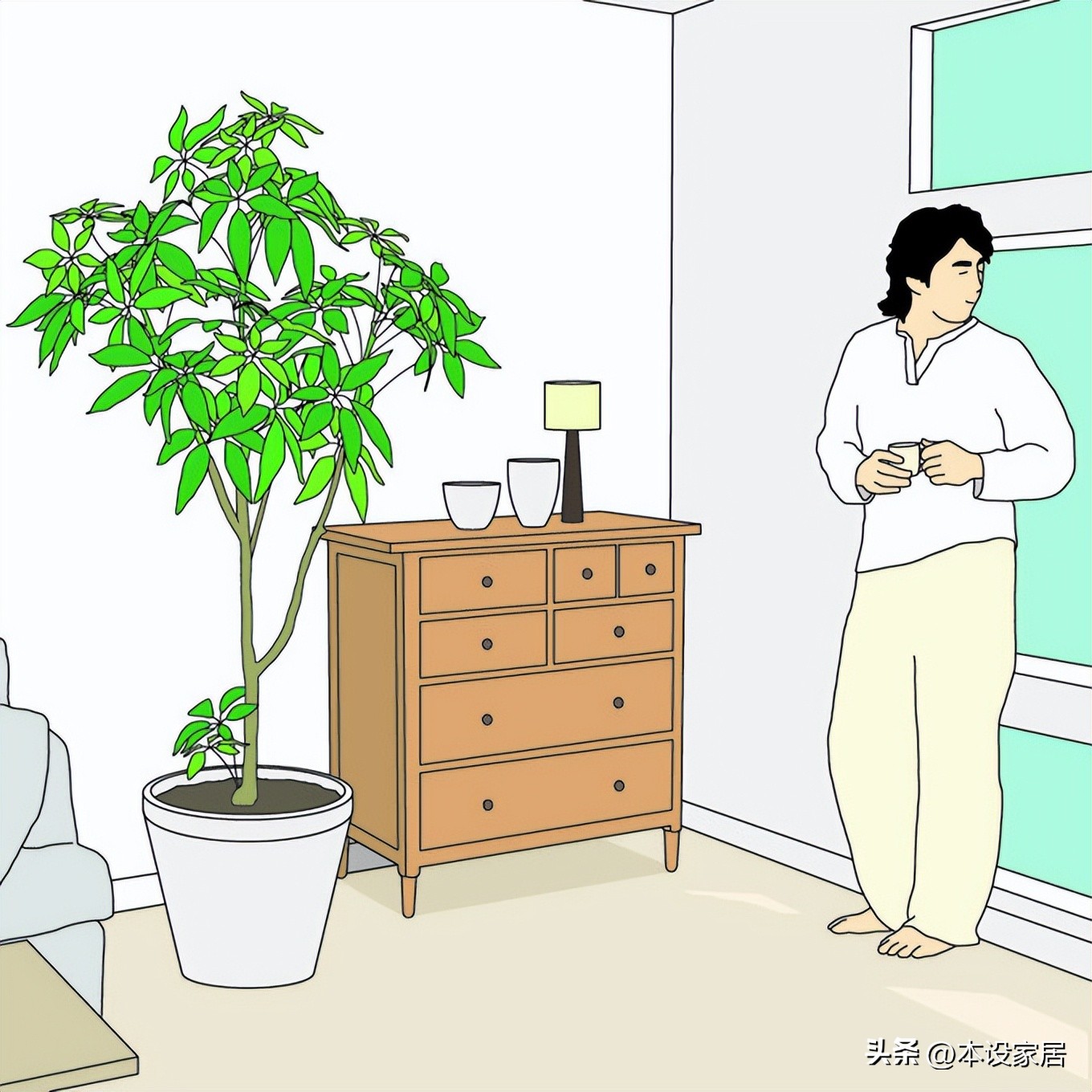 吸甲醛净化空气的绿植和花有哪些,室内净化空气用什么绿植最好