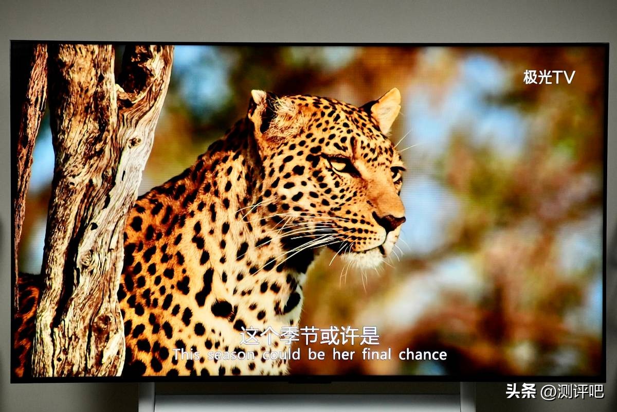 tcl电视v8和q10哪个值得购买,tclq10h值得买吗