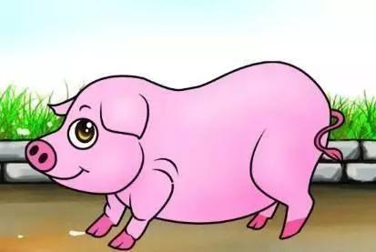 属相中什么属相婚姻最好,属相性格好和谁配婚都好