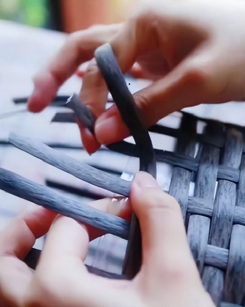 废弃塑料桶做花盆的方法,废旧塑料瓶改造花盆小妙招