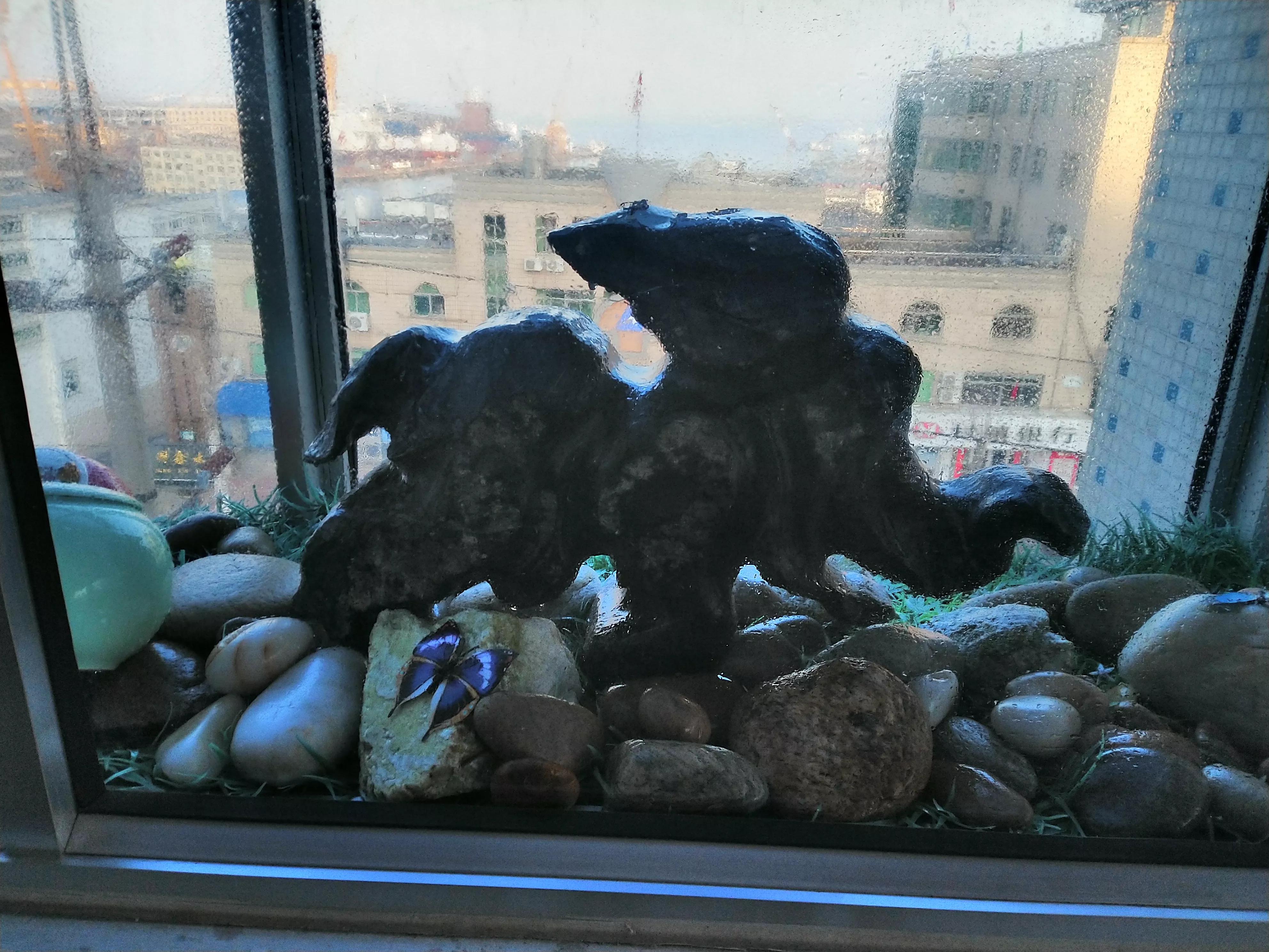 非诉讼律师的收入,律师行业收入排名