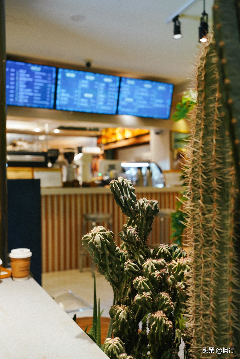 内卷的咖啡圈，这6个咖啡馆真会玩，产品创新不断，爱好者有福了