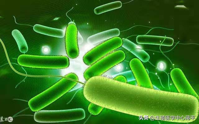 不孕不育如何预防治疗,不孕别担心