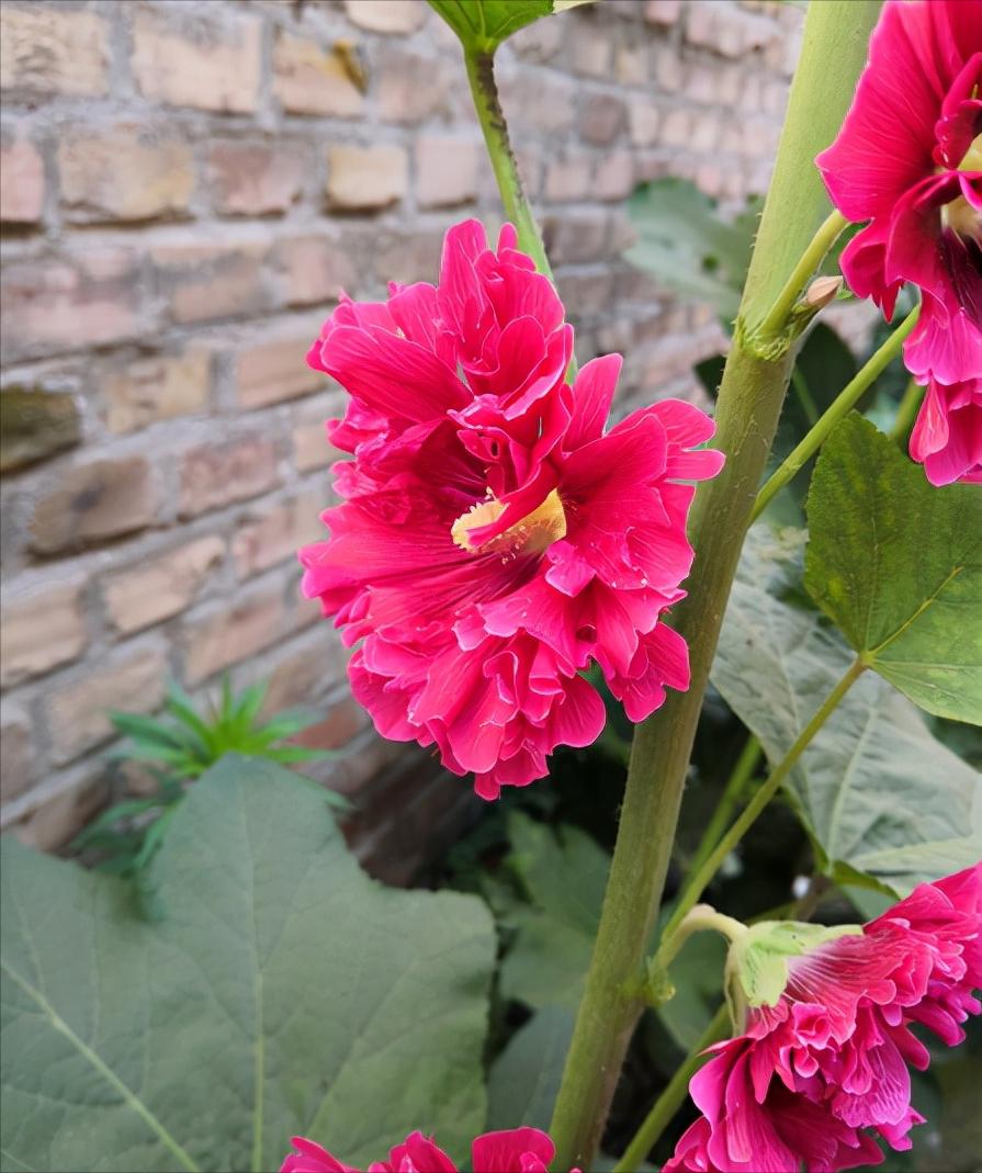 乡村纪实:那年省立徐州第一中学,在六县招了30个学生,爷爷考中