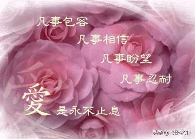 怎么可以不去爱一个人,怎么样才算真正爱一个人