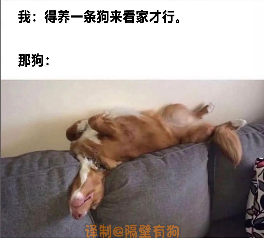 看完恐怖片不敢去最后一间厕所,看完恐怖片转移阵地