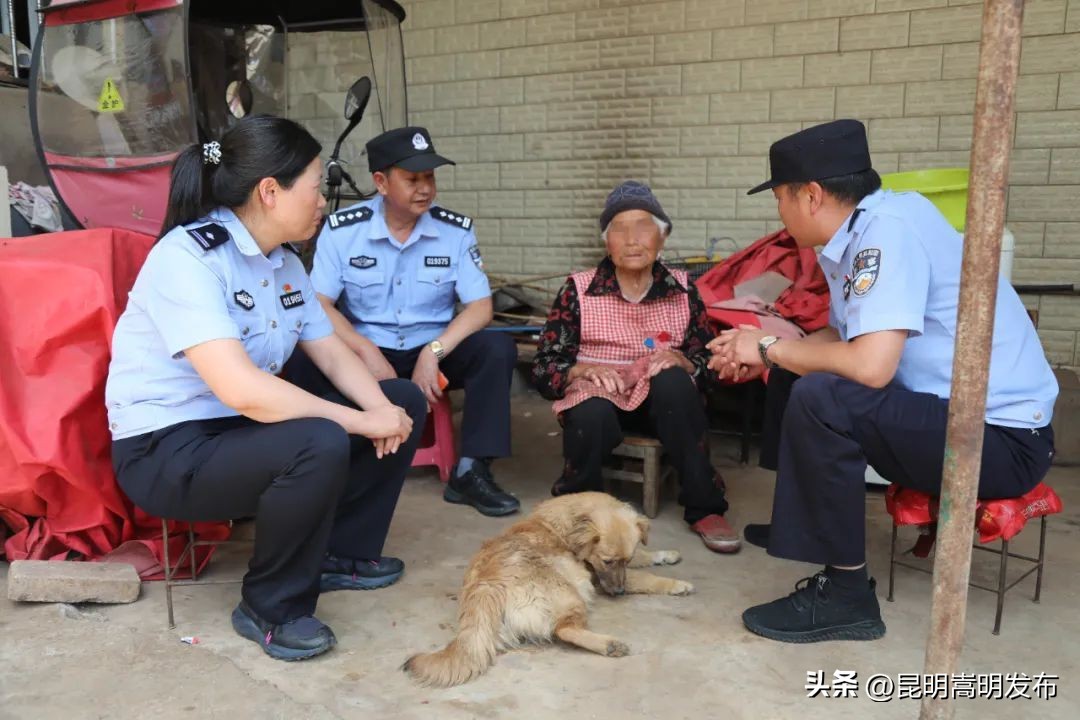 “轻嵩办”｜一张身份证的温度是多少？