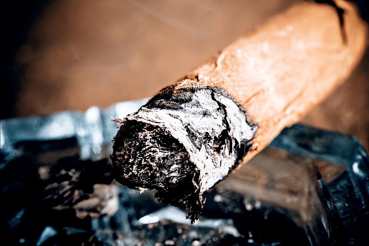 最贵的雪茄是什么品种,世界上最贵的雪茄皇家花魁