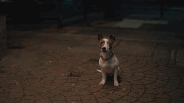 这部18禁成人剧，全是脑洞！