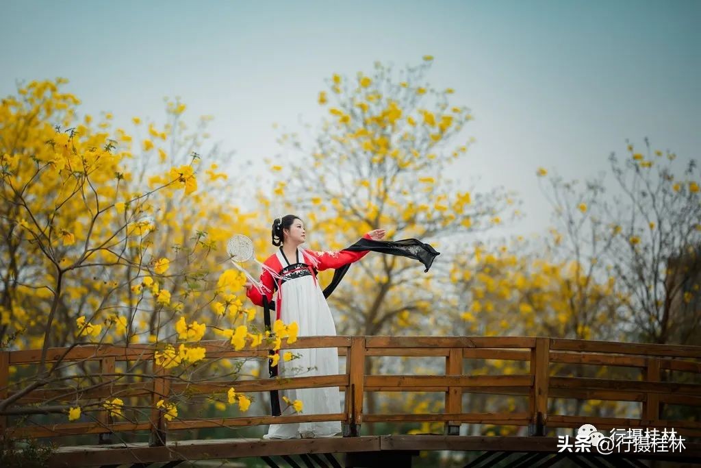 花仙子风铃,风铃花仙子