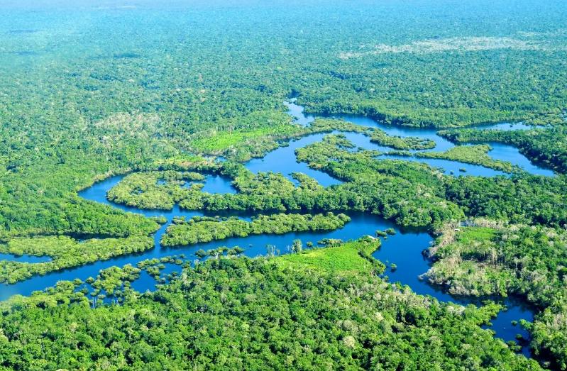 亚马逊河为什么没一座桥能跨过它,亚马逊河有多少桥梁