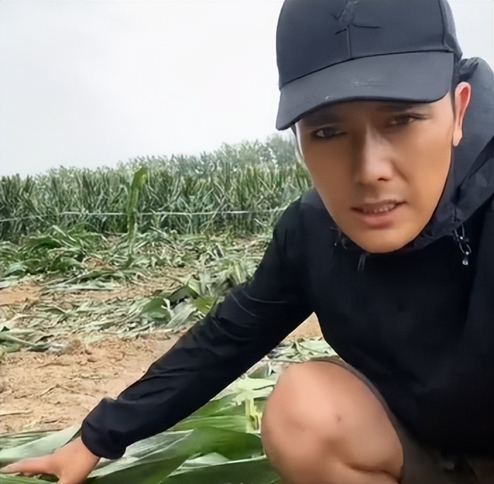 徐海乔入行十几年的角色,徐海乔杀青照片