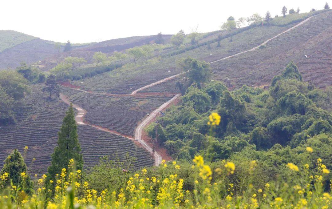 离杭州比较近的浙江城市,离杭州很近的市区
