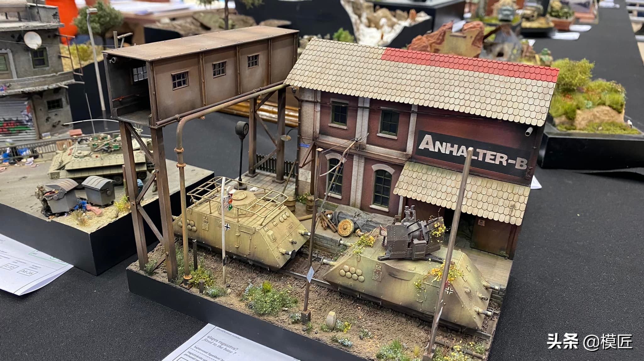 匈牙利莫森金奖,莫森模型展