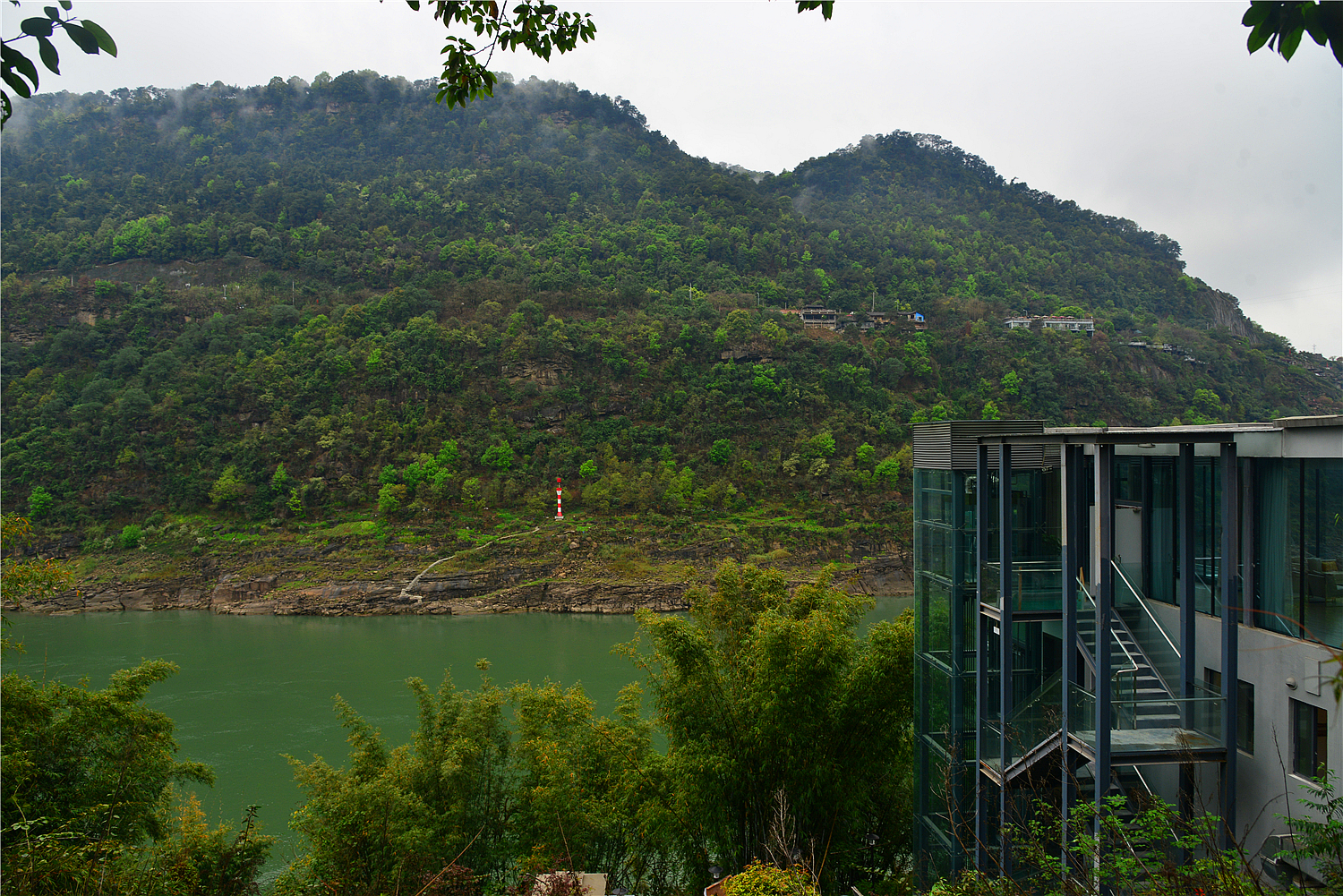 【重庆影像376】·铁山坪森林公园（202302）