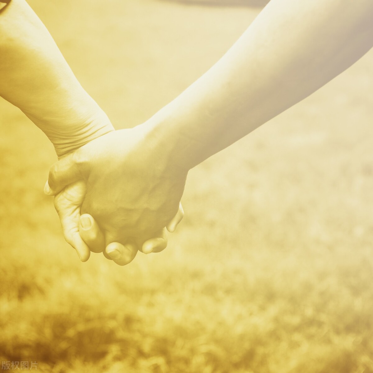 夫妻之间一辈子的爱情句子,夫妻爱情感悟经典句子