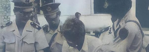 信发集团去年净利润赶超魏桥集团,魏桥铝业厉害还是信发铝业厉害