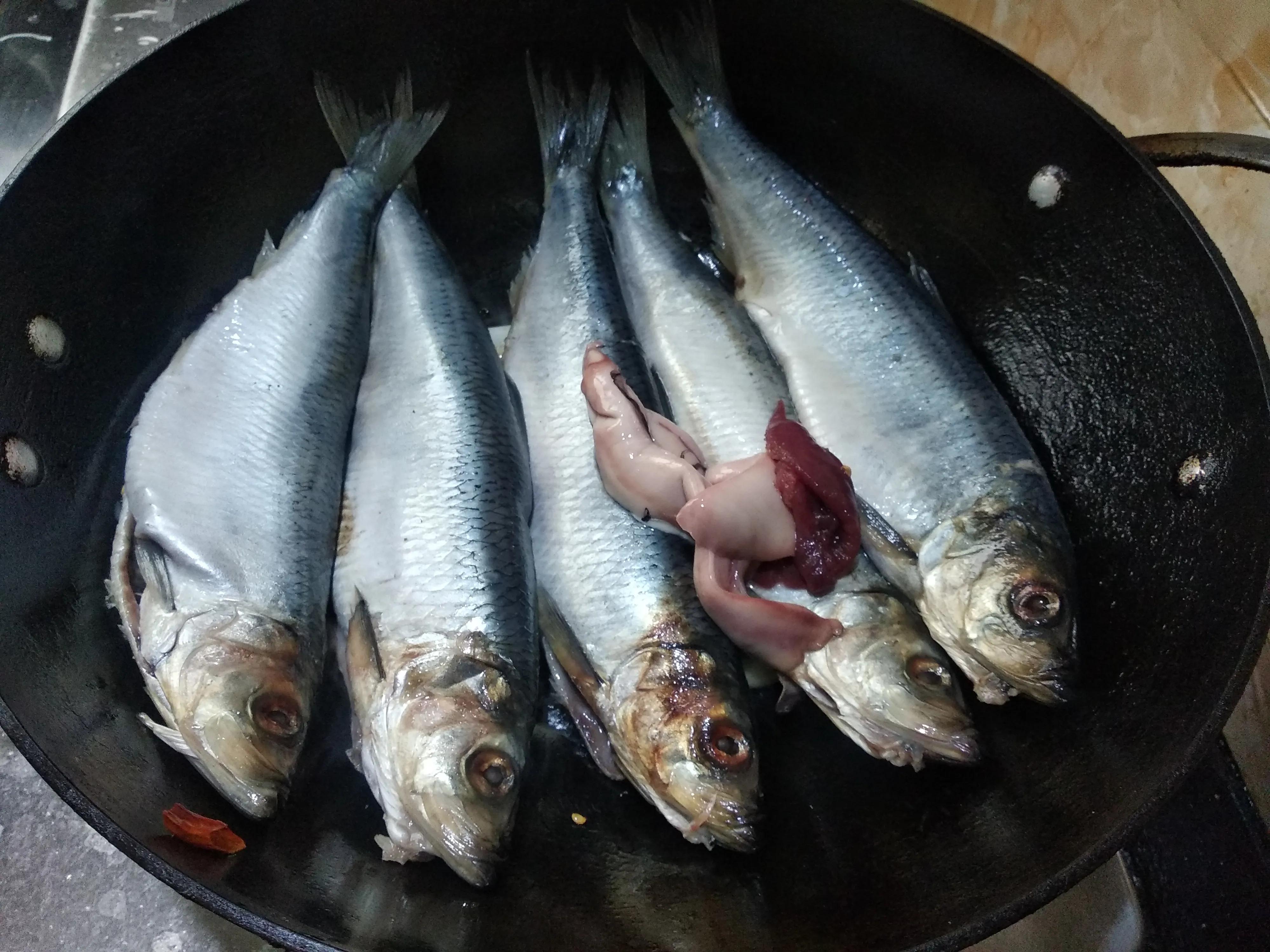适合四月吃的海鱼有哪几种,这个季节适合吃什么样的海鱼