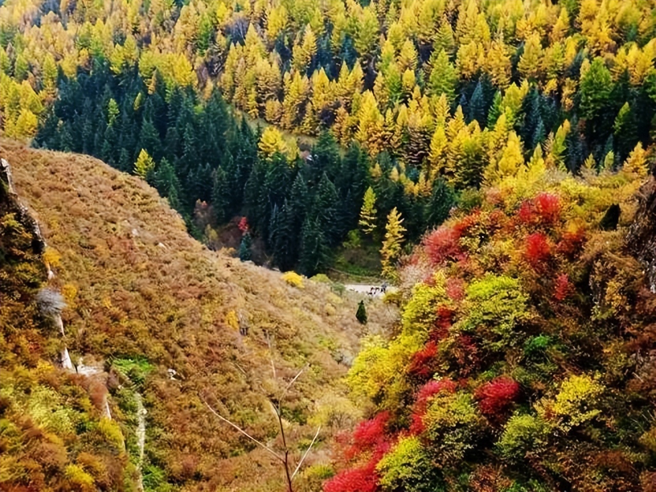 金秋山西旅行攻略,山西国庆出游好地方推荐