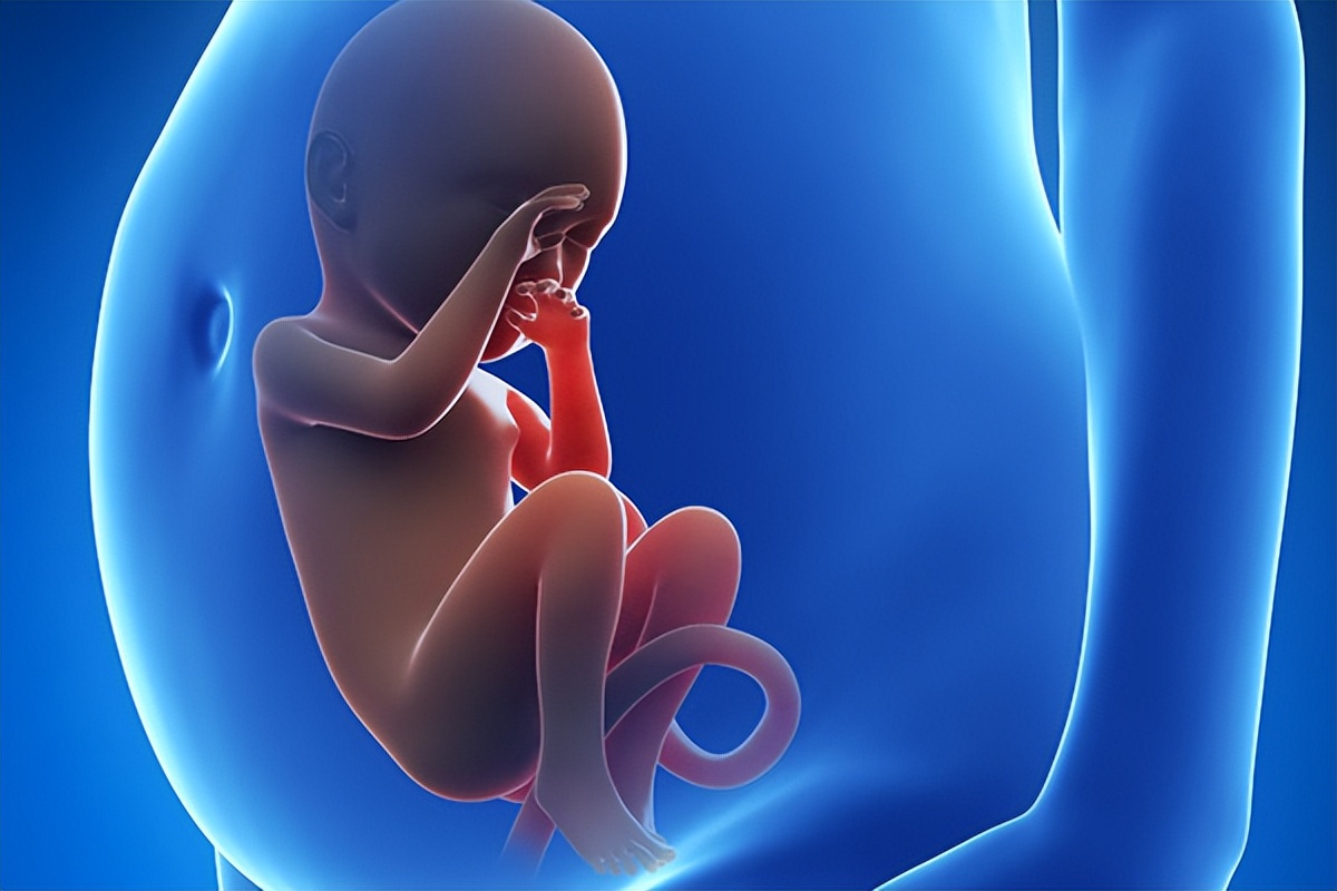 婴儿先天性心脏病怎么护理,婴儿先天性心脏病做什么手术好